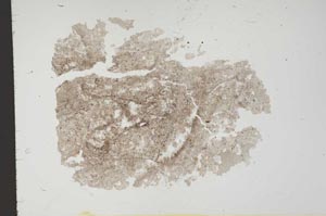 Plane Polarized, S18356