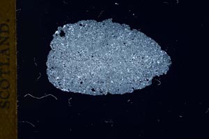 Cross Polarized, S18358