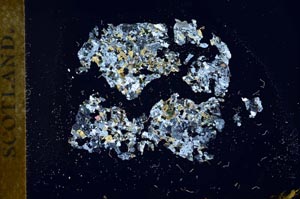 Cross Polarized, S18359