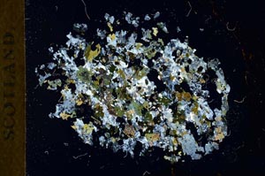 Cross Polarized, S18360