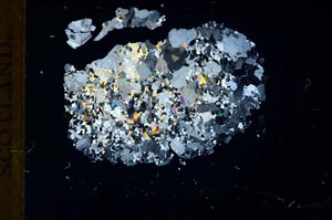 Cross Polarized, S18361