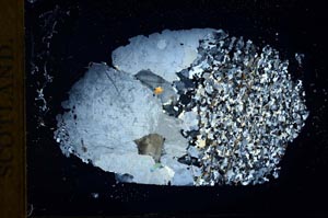 Cross Polarized, S18362