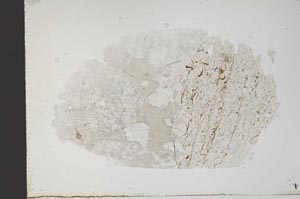 Plane Polarized, S18362