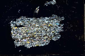 Cross Polarized, S18363