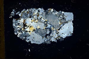 Cross Polarized, S18364