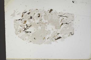 Plane Polarized, S18364