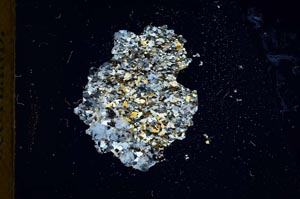 Cross Polarized, S18365