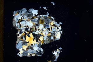 Cross Polarized, S18367