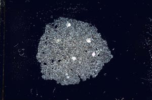 Cross Polarized, S18370