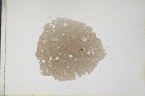 Plane Polarized, S18370