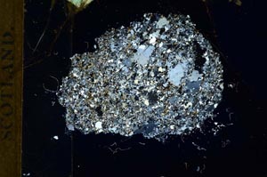 Cross Polarized, S18371