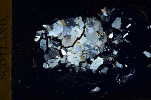 Cross Polarized, S18372