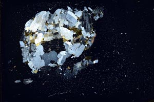 Cross Polarized, S18373