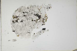 Plane Polarized, S18373