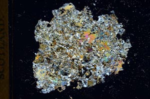 Cross Polarized, S18374