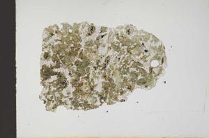 Plane Polarized, S18375