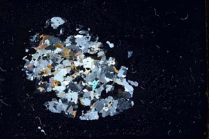 Cross Polarized, S18376