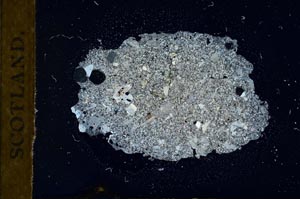 Cross Polarized, S18377