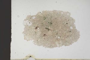 Plane Polarized, S18377