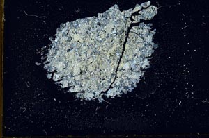 Cross Polarized, S18378