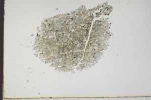 Plane Polarized, S18378