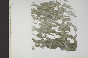 Plane Polarized, S18379