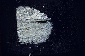 Cross Polarized, S18380