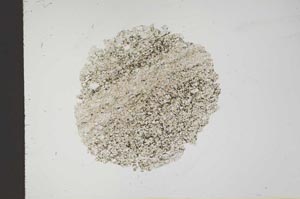 Plane Polarized, S18381