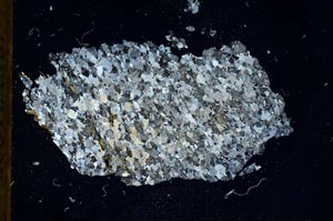 Cross Polarized, S18383