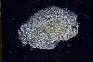 Cross Polarized, S18384