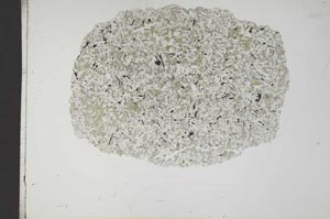 Plane Polarized, S18388