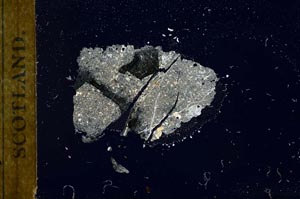 Cross Polarized, S18397