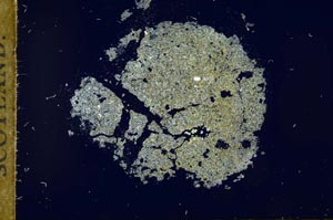 Cross Polarized, S18398