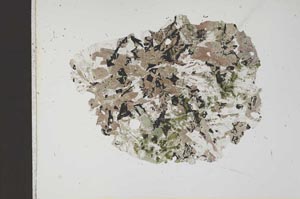 Plane Polarized, S18407