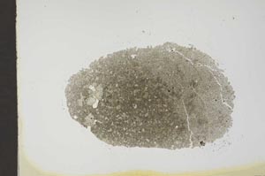 Plane Polarized, S18415