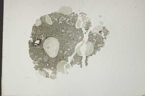 Plane Polarized, S18420