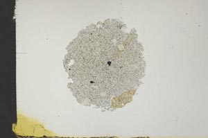 Plane Polarized, S18425