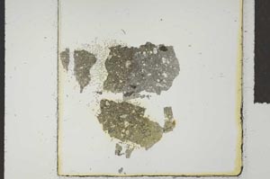 Plane Polarized, S18427