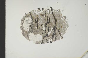 Plane Polarized, S18429