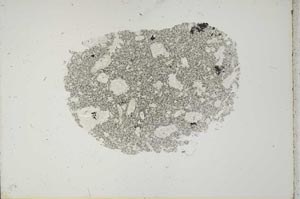 Plane Polarized, S18430