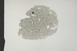 Plane Polarized, S18432