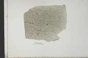Plane Polarized, S18436