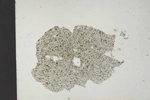 Plane Polarized, S18438