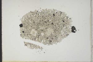 Plane Polarized, S18440