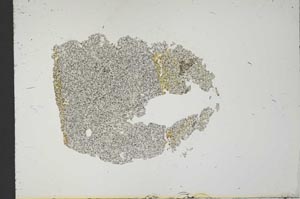 Plane Polarized, S18442