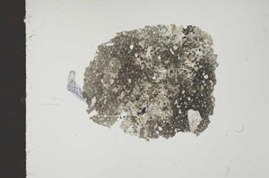 Plane Polarized, S18443