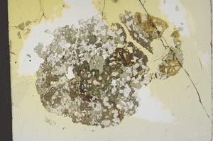 Plane Polarized, S18444