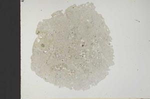 Plane Polarized, S18448