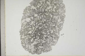 Plane Polarized, S18470