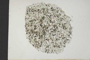 Plane Polarized, S18502